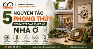 5 NGUYEN TAC PHONG THUY 3