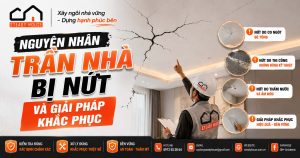 NGUYEN NHAN TRAN NHA BI NUT